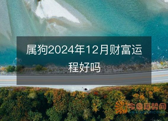 属狗2025年12月财富运程好吗