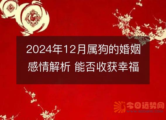2025年12月属狗的婚姻感情解析 能否收获幸福