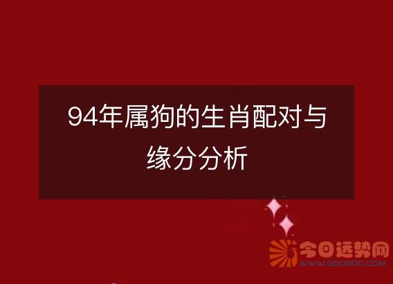 94年属狗的生肖配对与缘分分析