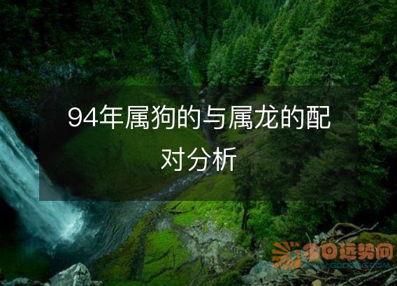 94年属狗的与属龙的配对分析