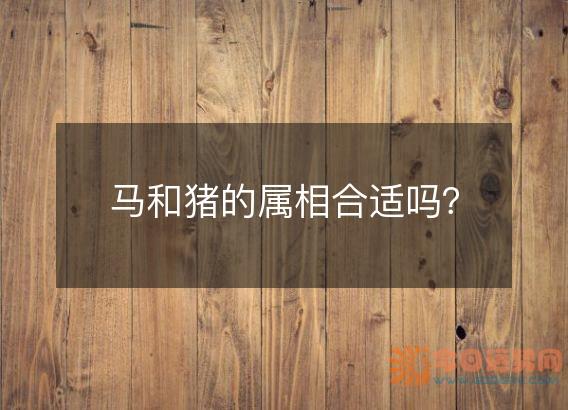 马和猪的属相合适吗?