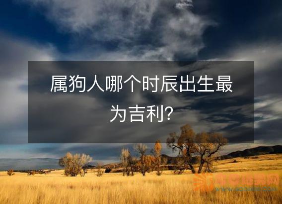 属狗人哪个时辰出生最为吉利?