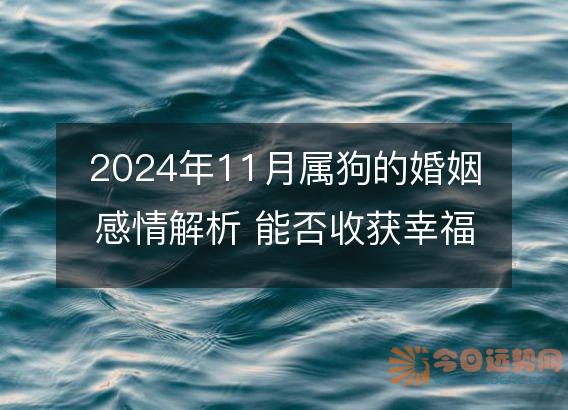 2025年11月属狗的婚姻感情解析 能否收获幸福
