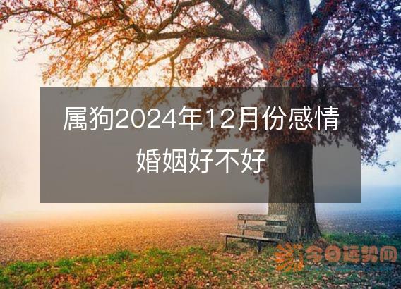 属狗2025年12月份感情婚姻好不好