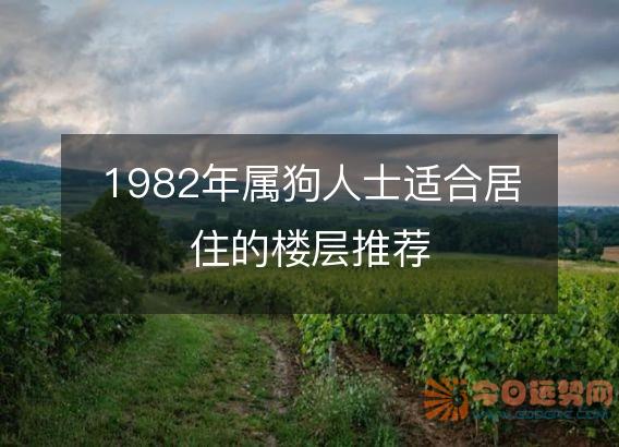 1982年属狗人士适合居住的楼层推荐