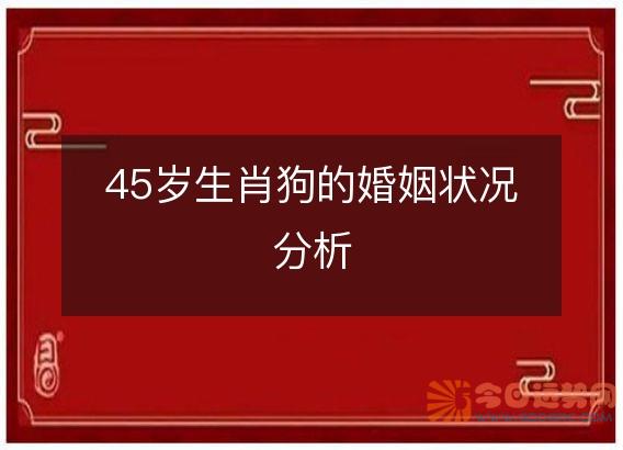 45岁生肖狗的婚姻状况分析