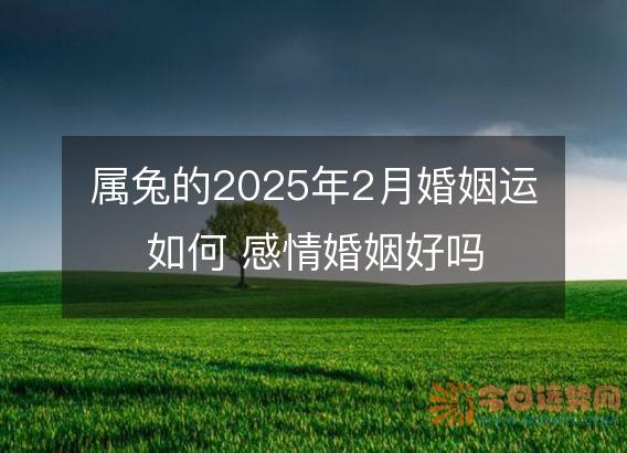 属兔的2025年2月婚姻运如何 感情婚姻好吗