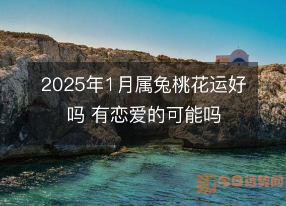 2025年1月属兔桃花运好吗 有恋爱的可能吗