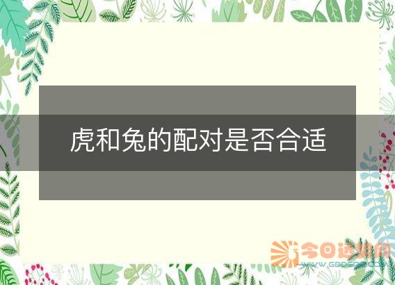 虎和兔的配对是否合适