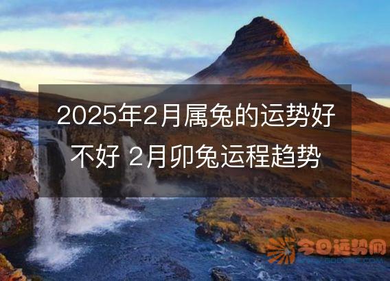 2025年2月属兔的运势好不好 2月卯兔运程趋势解说