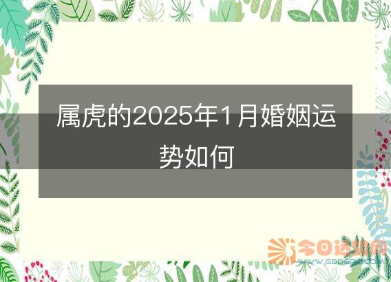 属虎的2025年1月婚姻运势如何