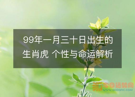 99年一月三十日出生的生肖虎 个性与命运解析
