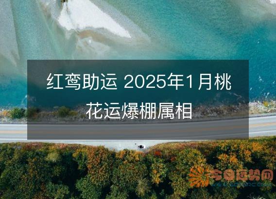 红鸾助运 2025年1月桃花运爆棚属相