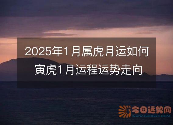 2025年1月属虎月运如何 寅虎1月运程运势走向详解