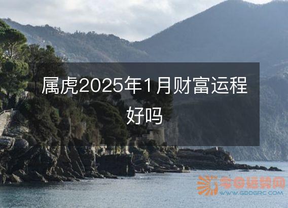 属虎2025年1月财富运程好吗