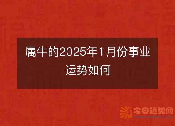属牛的2025年1月份事业运势如何