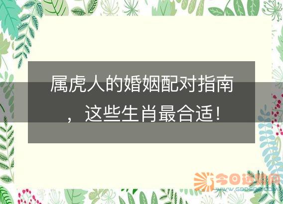 属虎人的婚姻配对指南,这些生肖最合适!