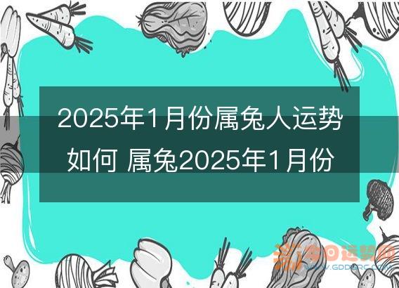 2025年1月份属兔人运势如何 属兔2025年1月份运程好吗