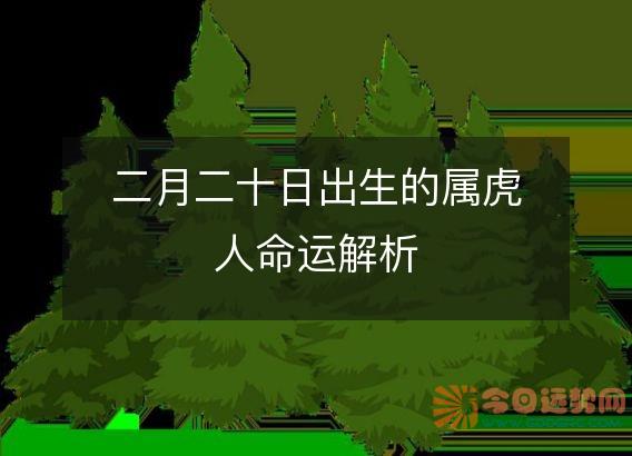 二月二十日出生的属虎人命运解析