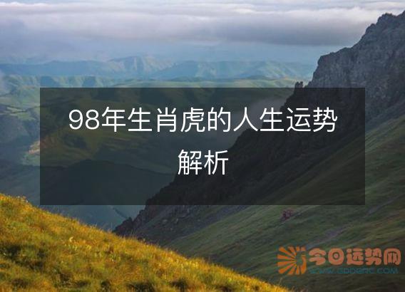 98年生肖虎的人生运势解析