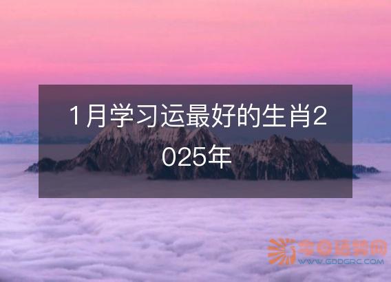 1月学习运最好的生肖2025年